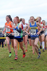 Womens under-17 Northern Cross Country Champs., Camp Hill Estate, Kirklington.  Photo: David T. Hewitson/Sports for All Pics